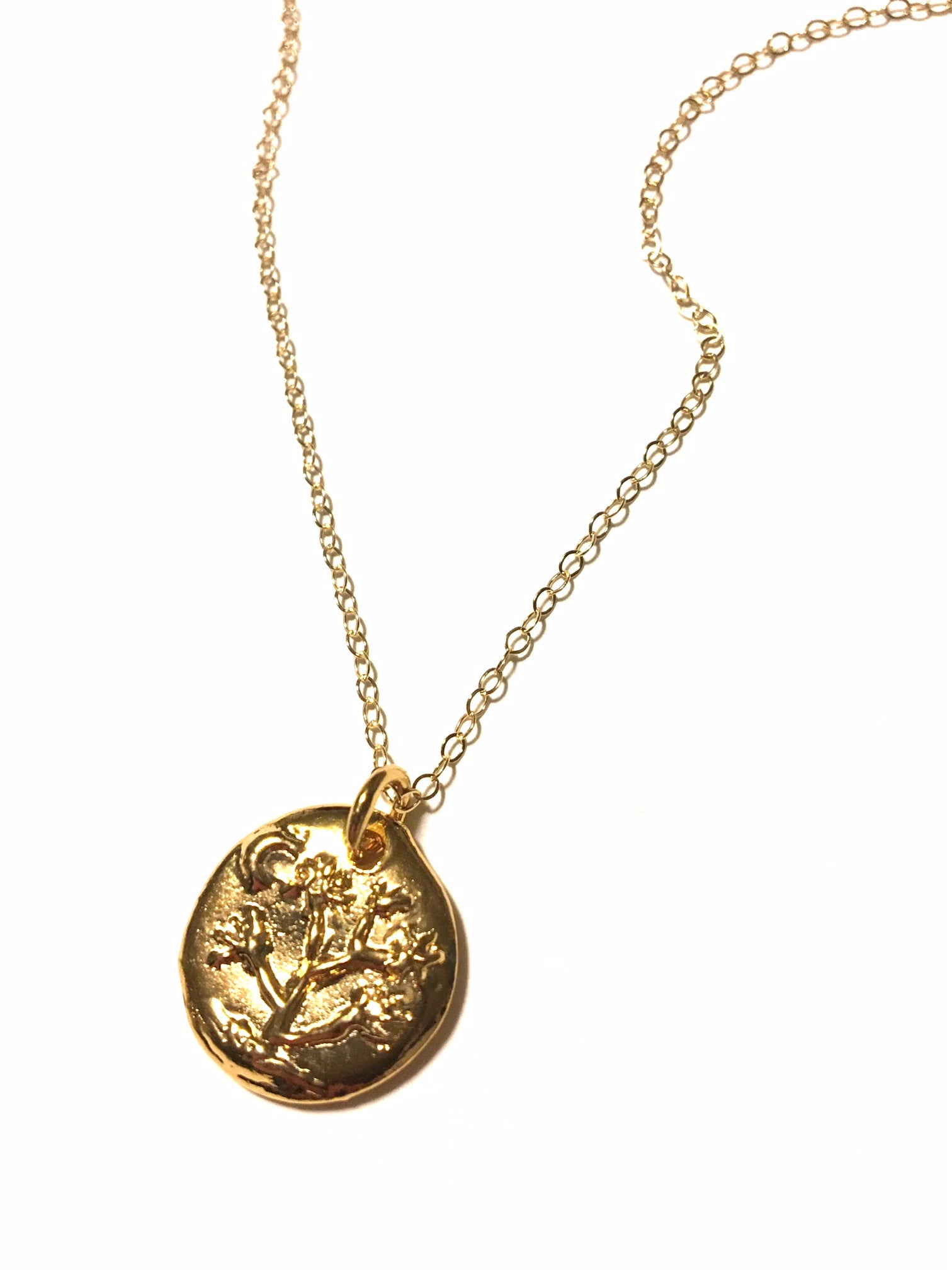 gold plate desert charm necklace